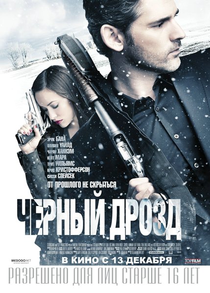 Постер к фильму Черный дрозд (2012)