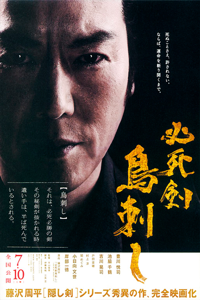 Постер к фильму Меч отчаяния (2010)