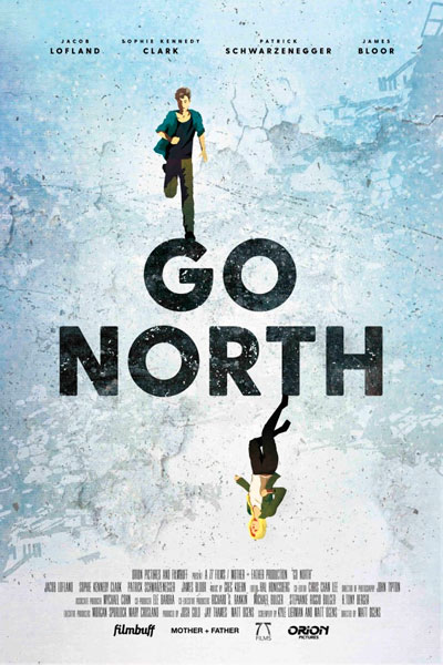 Постер к фильму На север (2017)