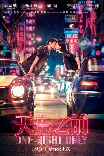 Постер к фильму Только одна ночь (2016)