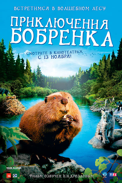 Постер к фильму Приключения бобренка (2008)