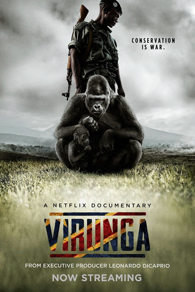 Постер к фильму Вирунга (2014)