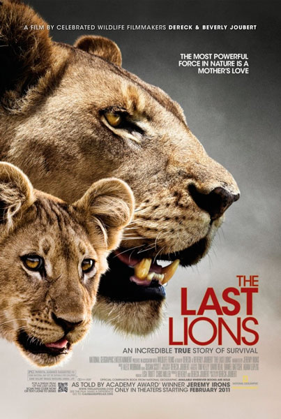 Постер к фильму Последние львы (2011)