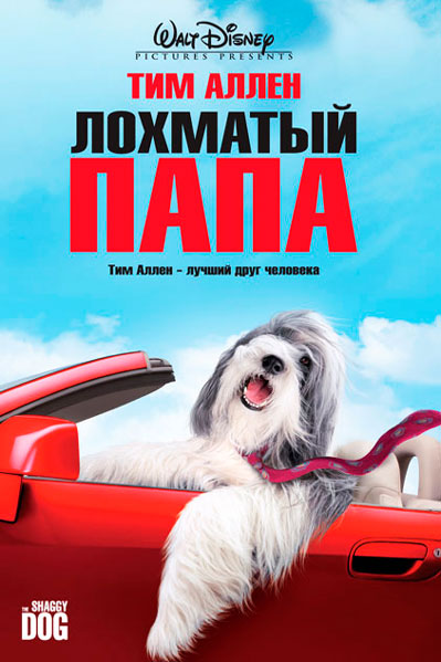 Постер к фильму Лохматый папа (2006)