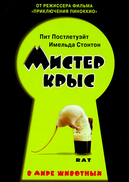 Постер к фильму Мистер крыс (2000)